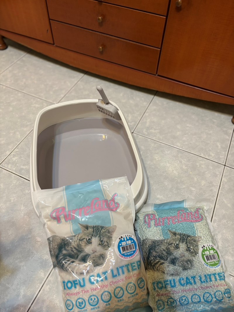 女人知己試用大隊,口碑行銷,部落客行銷,PurreLand 倍淨豆腐貓砂,好市多購買,COSTCO購買,豆腐貓砂,PurreLand倍淨,低粉塵,易清理,可沖馬桶,提供絕佳的除臭與凝結力,豆腐貓砂評價,貓砂評價,使用心得,貓砂分享,好用,原味,綠茶,豆腐砂,水量需完全覆蓋貓砂,水量需貓砂的2~3倍以上,豆腐砂評價,高CP值,划算